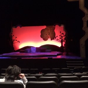 An audience member studies the set for Through the Looking Glass at intermission.
